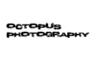 Octopus Photography